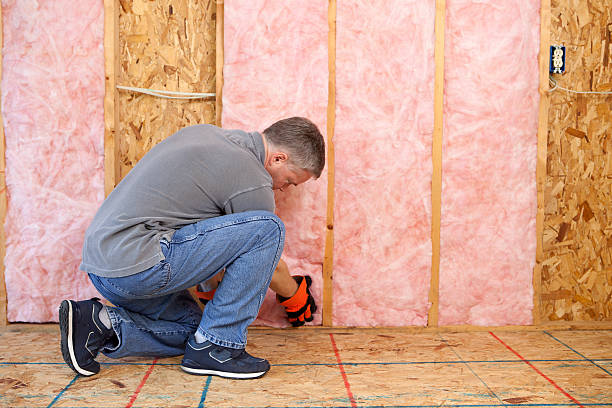 Types of Insulation We Offer in Mount Dora, FL